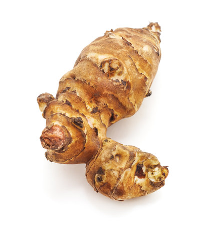 Root raw artichoke isolated on a white background.の写真素材