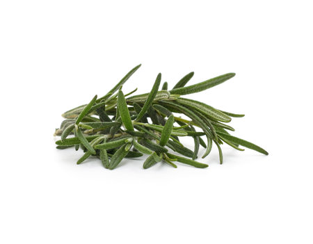 Branch of green rosemary isolated on a white background.の写真素材