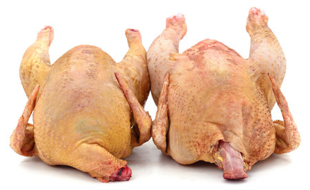 Two raw chicken isolated on a white background.の写真素材