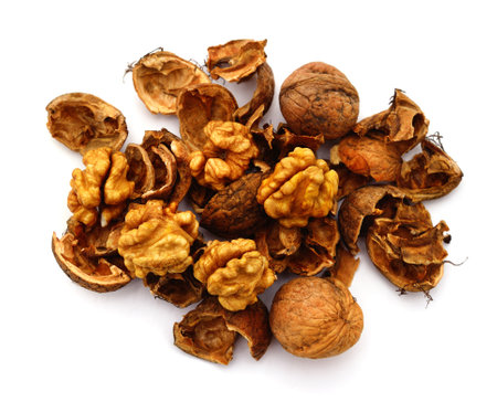 Piles of nuts, shells and kernels isolated on white background.の写真素材
