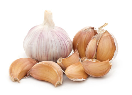 Head of garlic with cloves isolated on a white background.の写真素材