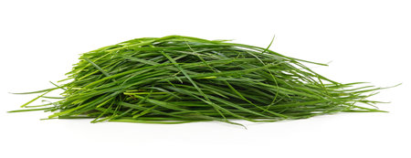 Bush of green grass isolated on a white background.の写真素材