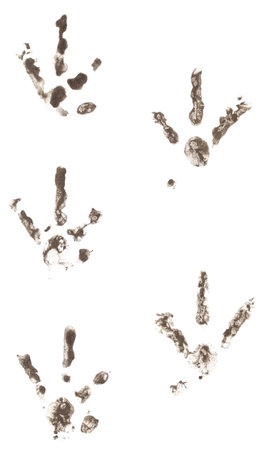 Chicken tracks made of dirt in a row isolated on a white background.の写真素材
