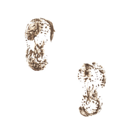 Dirty footprint from children's shoes isolated on a white background.の写真素材