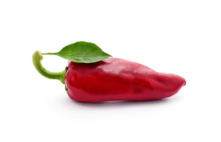One red pepper isolated on a white background.の写真素材
