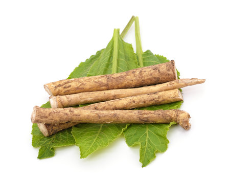 Horseradish roots and leaves isolated on a white background.の写真素材