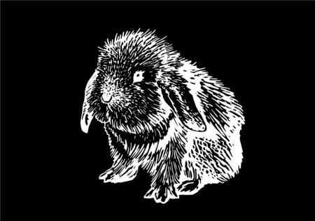 Graphical bunny isolated on black background, vector engraved illustrationのイラスト素材