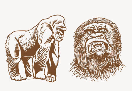 Graphical vintage portraits of gorilla and hyena, sepia background, vectorのイラスト素材