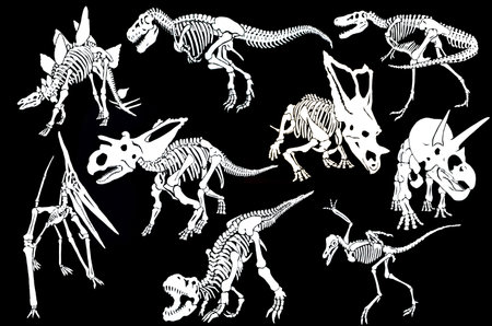 Graphical set of skeletons of dinosaurs isolated on black background, vectorのイラスト素材