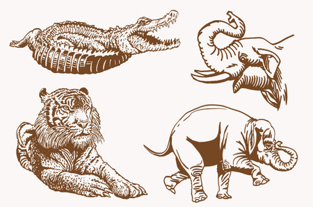 Graphical vintage set of african animals, sepia backgroundのイラスト素材