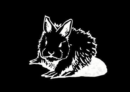 Graphical bunny isolated on black background, engraved illustrationのイラスト素材