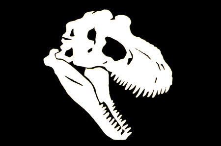 Graphical skull of tyrenosaurus isolated on black background, vector engraved illustration. Paleontologyのイラスト素材
