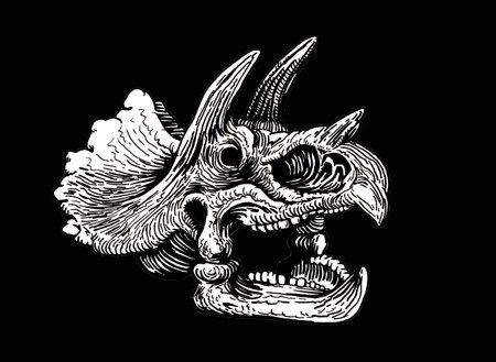 Graphical skull of triceratops isolated on black background, paleontologyのイラスト素材