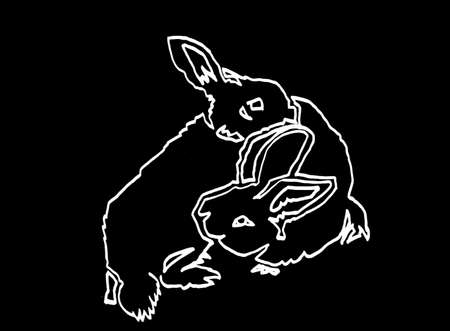 Graphical hand-drawn doodle illustration of rabbit isolated on black background,vectorのイラスト素材