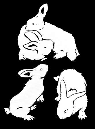 Graphical set of silhouettes of bunny isolated on black background,vector elementsのイラスト素材