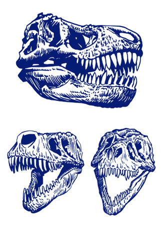 Color vector set of skulls of dinosaurs, pop art graphical illustration, blue skulls of tyrannosaurusのイラスト素材