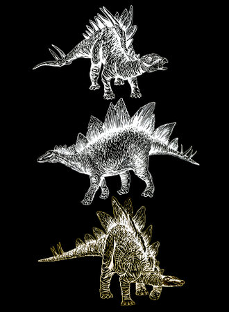 Graphical set of stegosauruses on black background,vector dinosaursのイラスト素材