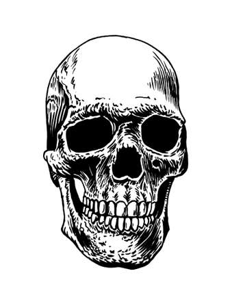 Graphical hand-drawn skull of human isolated on white background,vector illustrationのイラスト素材