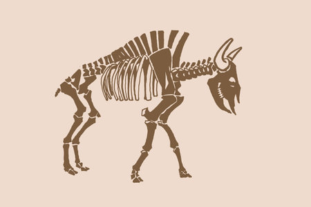 Graphical vintage skeleton of bison ,vector illustration.Paleontologyのイラスト素材