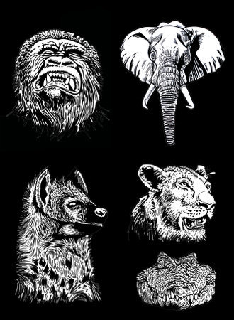 Graphical 3d set of african animals on black background,vector engraved illustration. Vector illustrationのイラスト素材