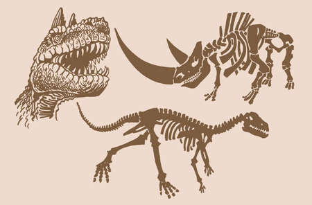 Graphical vintage set of dinosaurs and skeleton of rhinoのイラスト素材