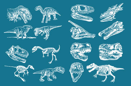 Graphical color set of dinosaurs, stylish wallpaper with dinosaurs for printing and typographyのイラスト素材