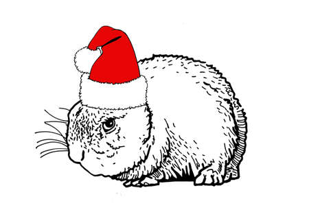 Cute Christmas bunny in Santa Claus red hat on white background, new year element,zoologyのイラスト素材