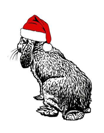 Cute Christmas bunny in Santa Claus red hat on white background, new year element,zoologyのイラスト素材