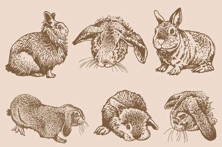 Graphical big vintage set of bunnies, domestic animals for design,art and typographyのイラスト素材