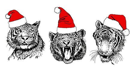 Graphical set of portraits of tigers in red hats on white background,vector new year elementsのイラスト素材