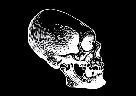 Graphical Mayan skull isolated on black, long skull of ancient tribe, vector illustration, halloween elementのイラスト素材