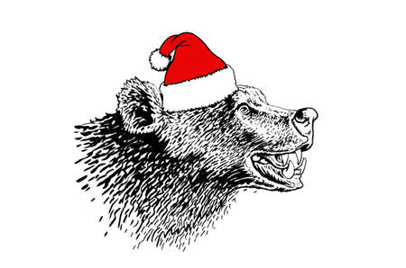 Graphical portrait of bear in Santa Claus hat isolated on white background,vector illustrationのイラスト素材