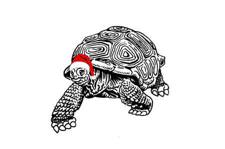 Graphical christmas element , turtle in red Santa Claus hat isolated on white backgroundのイラスト素材
