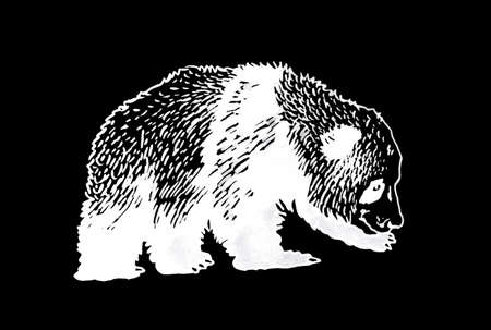 Vector engraved illustration of panda on black background, graphicsのイラスト素材