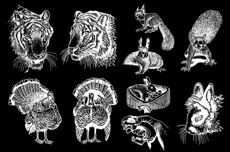 Big graphical collection of animals on black. vector turkey, tiger bunny and squirrel.
