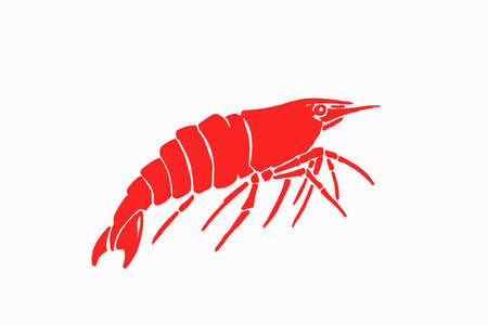 Seafood color element, red shrimp isolated on white, graphical vector illustrationのイラスト素材