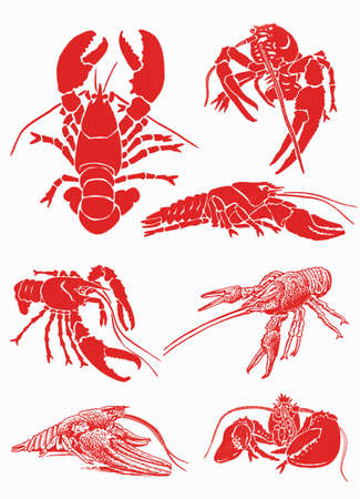 Graphical color set of sea-food, red lobsters collectionのイラスト素材