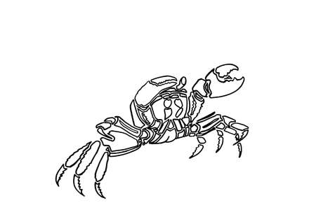 Graphical sketch of crab isolated on white background,vector sea-food element lined drawingのイラスト素材