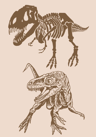 Graphical Vintage Set Of Skeletons Of Tyrannosaurus And Skulls Vector Fossilsのイラスト素材 イメージマート