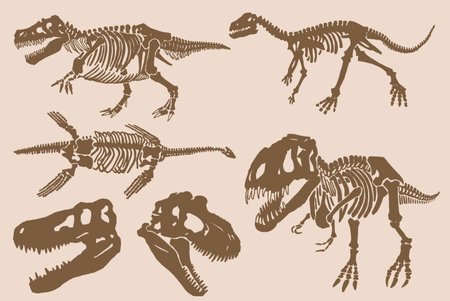 Graphical Vintage Set Of Skeletons Of Tyrannosaurus And Skulls Vector Fossilsのイラスト素材 イメージマート