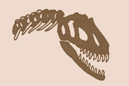 Graphical vintage skull of tyrannosaurus ,vector bones,fossils