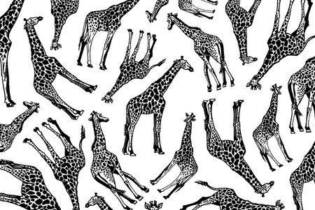 Graphical design with giraffes on white, vector illustration for backgrounds,patterns , covers. Typography designのイラスト素材