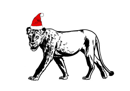 Graphical lioness in Santa Claus hat isolated on white background,vector illustration. Christmas element in design. Vector illustrationのイラスト素材