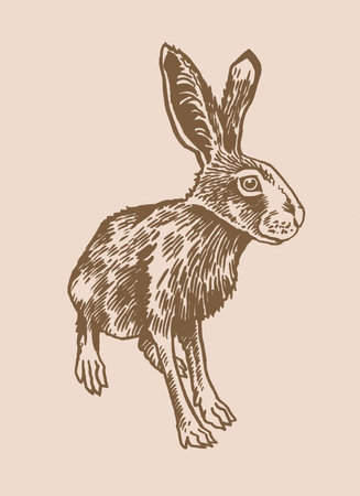 Graphical vintage hare , sepia background. Vector drawing of forest animal watching rightのイラスト素材