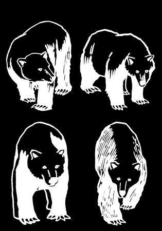 Graphical set of bears isolated on black background,vector engraved illustration. Ink pen illustrationのイラスト素材
