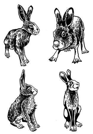Graphical set of bunnies isolated on white background,vector illustration, Vector hares ,rabbits. Domestic and forest animalsのイラスト素材