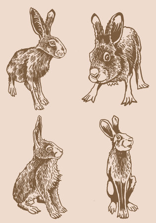Graphical vintage set of bunnies ,vector sepia illustration, Vector hares ,rabbits. Domestic and forest animalsのイラスト素材