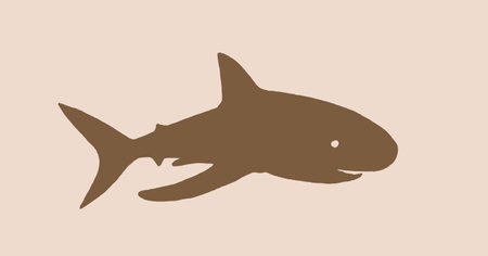 Graphical vector silhouette of shark ,vintage illustrationのイラスト素材