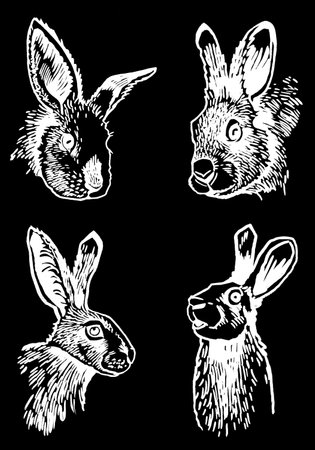 Graphical set of portraits of bunnies isolated on black,vector elements. Hand-drawn rabbitsのイラスト素材