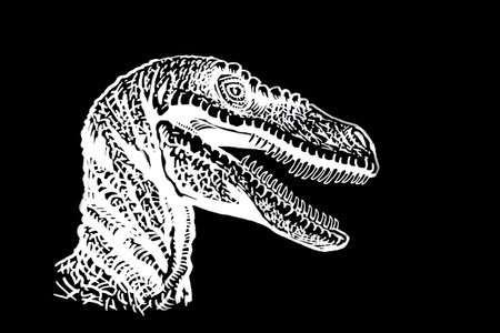 Graphical portrait of tyrannosaurus watching right on black, vector engraved illustrationのイラスト素材